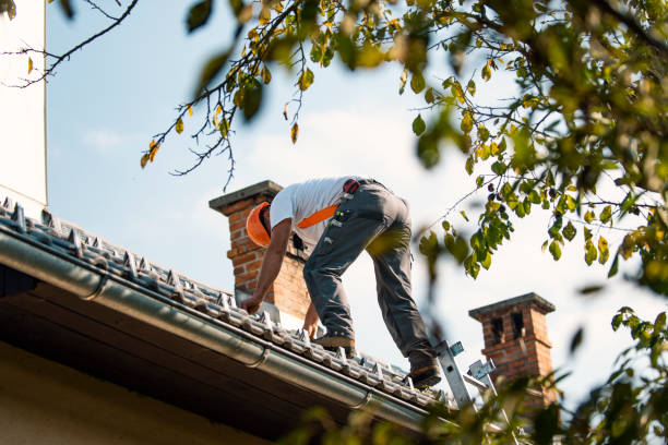 Best Roof Maintenance Services  in Greenup, IL